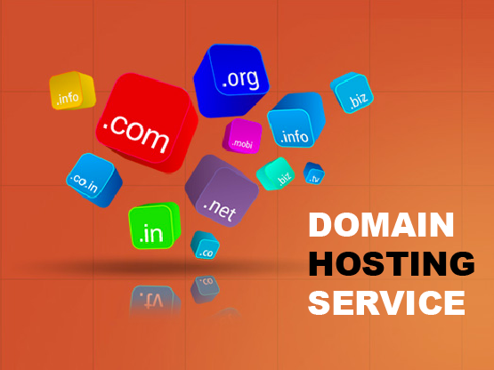 domain hosting bangladesh