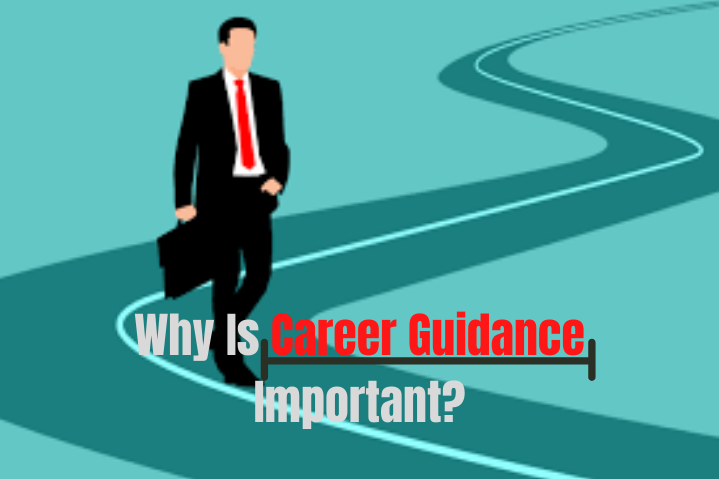 Career Guidelines